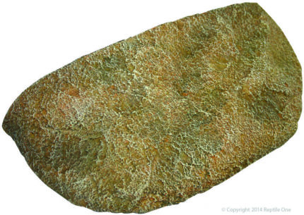 Dyno Rock Climbing Ledge Small