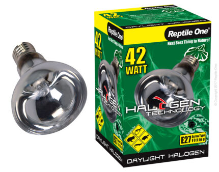 Reptile One Halogen 42W Daylight Lamp Eqv 60W