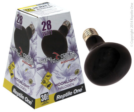 Reptile One Halogen 28W Moonlight Lamp Eqv 40W