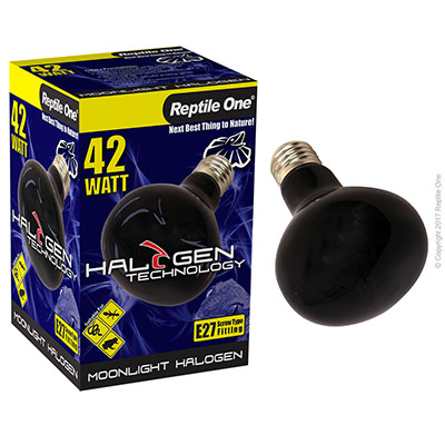 Reptile One Halogen 42W Moonlight Lamp Eqv 60W