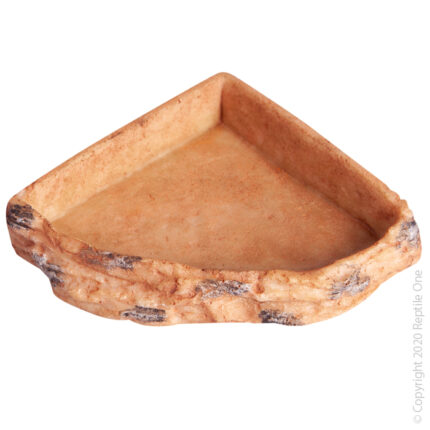 Reptile One Corner Bowl 9.5x9.5x2.3cm
