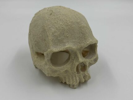 Reptile Hide Skull 10.5 X 13 X 9.5cm