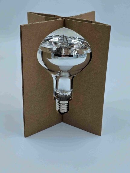 Mercury Vapour Globe 100w Heat and UVB