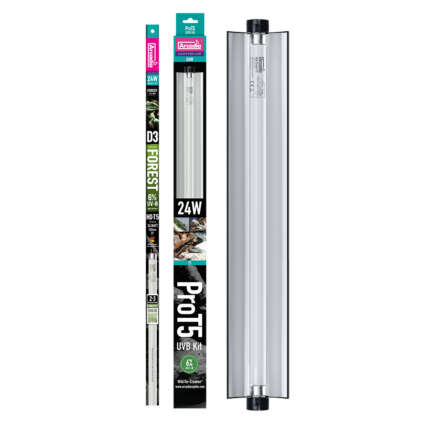 Arcadia Pro Forest T5 Kit 2ft 6% UVB 24W