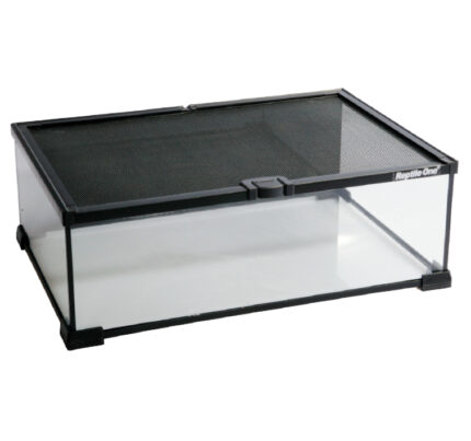 Reptile One Mini T2 Glass Tank 45 x 30 x 16cm